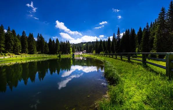 Picture forest, lake, reflection, the fence, Slovenia