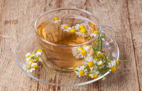 Picture tea, Daisy, drink, flowers