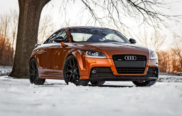 Picture Audi, Orange, S-Line