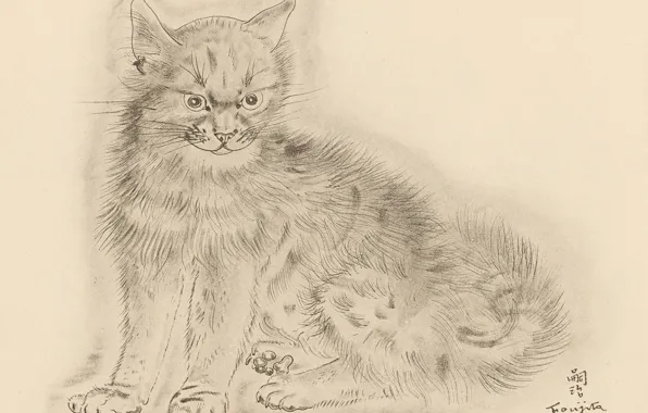 Picture cat, grey, gloomy, 1930, Tsuguharu, Fujita, The Book Of Cats