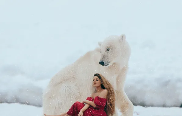 Picture winter, girl, snow, mood, the situation, bear, polar bear, red dress