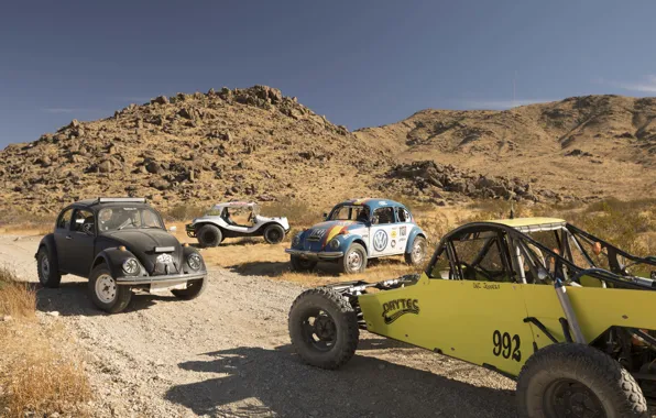 Picture Mexico, Mexico, rally, Baja 1000, Volkswagen, Desert Race, 2017, Wolkswagen, Beetles, Baja 1000