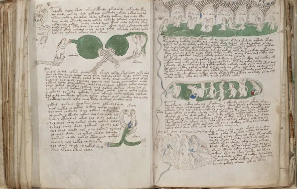 Picture Book, Voynich, The manuscript, The Voynich Manuscript, Manuscript, Voynich
