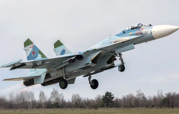 Picture Sukhoi, Defense, Su-27P, Single-seat fighter-interceptor