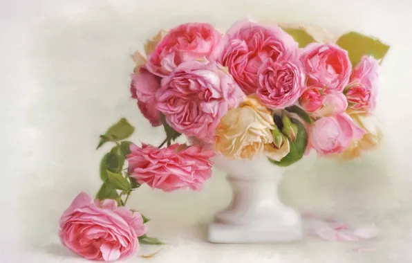 Picture flowers, roses, petals, art, vase