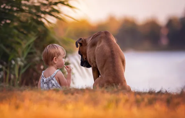 Picture dog, girl, friends, baby, bokeh, boxer