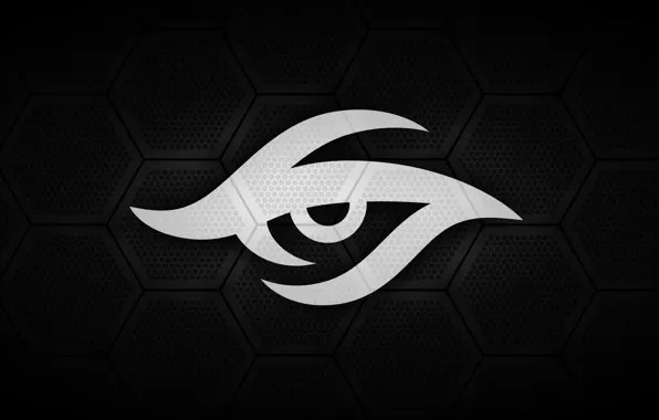 Picture Logo, Team, Dota 2, Secret, Pro