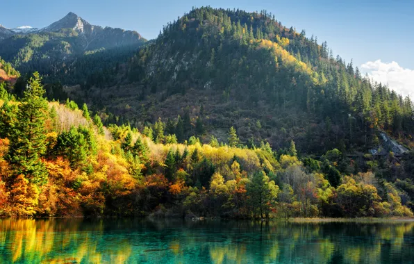 Picture autumn, forest, trees, mountains, lake, China, Sunny, colorful, reserve, Jiuzhaigou, Jiuzhaigou