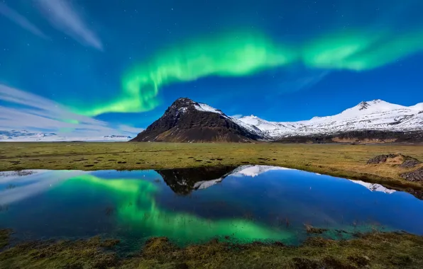 Picture Northern lights, Iceland, Iceland, Auster-Skaftafellssysla, Kalfafellsstadhur