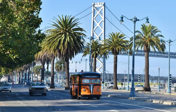 Picture bridge, the city, palm trees, street, cars, San Francisco