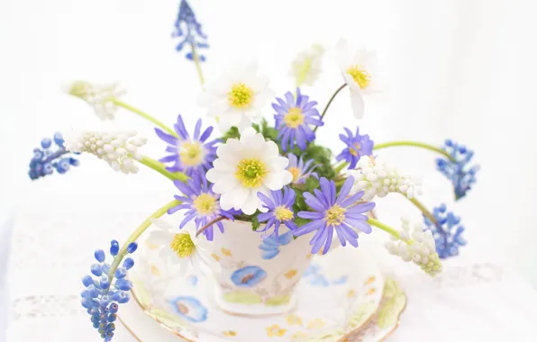 Picture Cup, saucer, a bunch, Muscari, anemones, anemone, Viper onion, hyacinth mouse