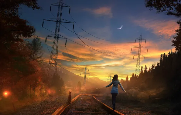 Picture road, forest, the sky, cat, girl, sunset, the moon, rails, the evening, art, railroad