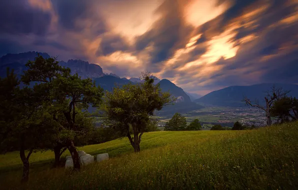 Picture the sky, clouds, trees, mountains, Austria, valley, Alps, meadow, Austria, Alps, Tyrol, Tyrol