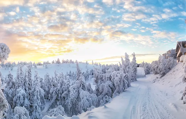 Picture winter, snow, trees, Hand, Finland, Finland, In Kuusamo, Kuusamo, Rukatunturi