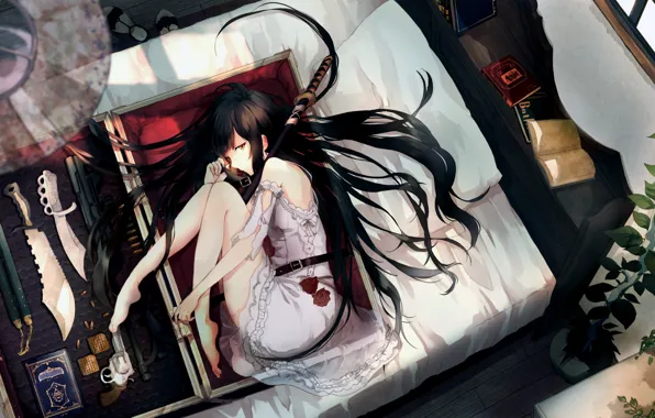 Picture Girl, sword, gun, long hair, legs, anime, katana, brunette, book, weapons, bed, roses, artwork, knife, …