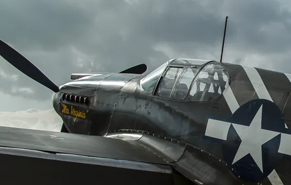 Picture Mustang, fighter, long-range, P-51A