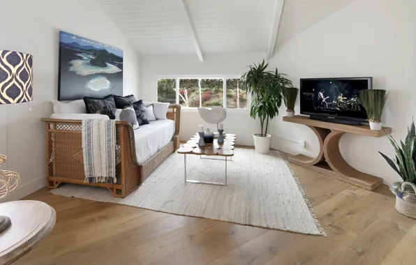 Picture sofa, TV, window, living room