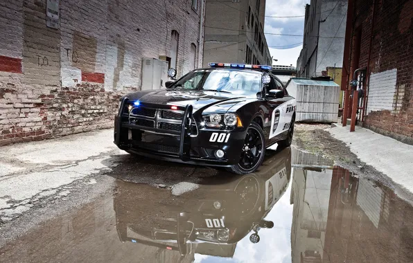 Picture police, Dodge, 2012, Charger, Pursuit