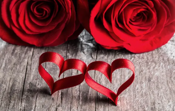 Picture love, heart, roses, petals, pair, red, love, heart, romantic, Valentine's Day, petals, roses