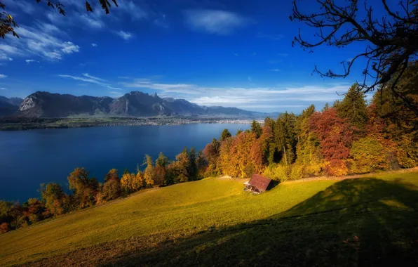 Picture autumn, trees, mountains, lake, Switzerland, Switzerland, Lake Thun, Bernese Alps, The Bernese Alps, Lake Thun, …