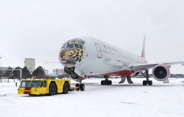 Picture Winter, Tiger, Snow, Airport, Boeing, Russia, Boeing, 300, 777, The plane, Passenger, B-777, B777