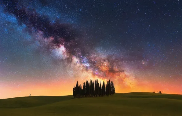Picture the sky, stars, trees, night, field, Italy, the milky way, cypress, Tuscany