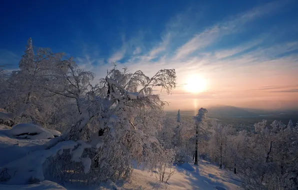Picture winter, snow, trees, dawn, morning, Russia