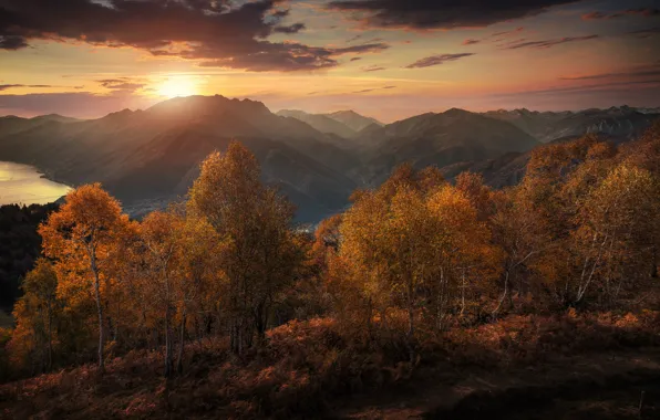 Picture autumn, trees, sunset, mountains, lake, Switzerland, Alps, Switzerland, Alps, Lake Maggiore, Ticino, lake Maggiore, Canton …