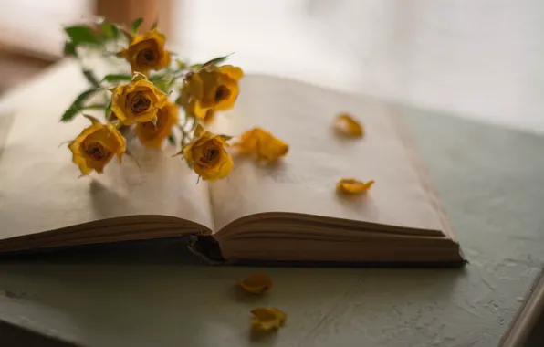 Picture Flowers, Book, Roses
