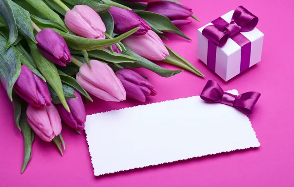 Picture bouquet, tulips, love, pink, bow, fresh, pink, flowers, romantic, tulips, gift, purple