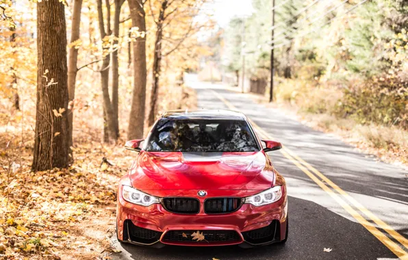 Picture BMW, Autumn, RED, F82