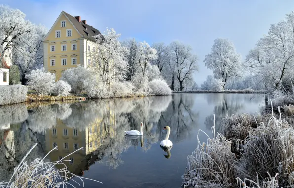 Picture winter, frost, trees, birds, pond, reflection, castle, Germany, Bayern, swans, Germany, Bavaria, Castle Erching, Hallbergmoos, …