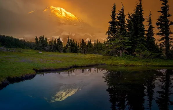 Picture forest, mountains, lake, reflection, glade, ate, Washington, Mount Rainier, The cascade mountains, Washington State, Cascade …