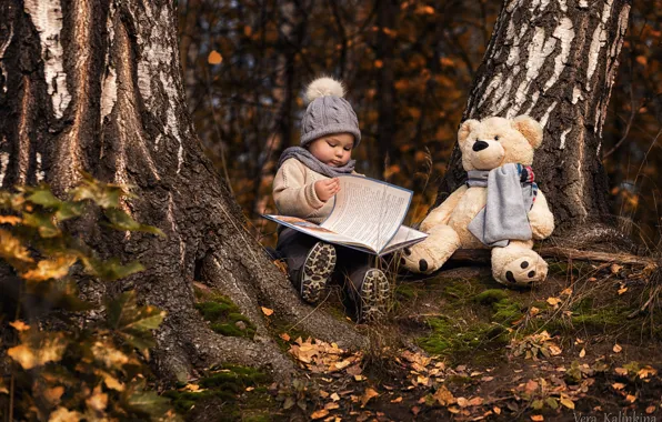 Picture trees, hat, toy, bear, girl, book