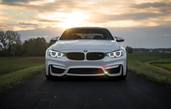 Picture BMW, Clouds, Sky, Green, Sunset, White, LED, F83