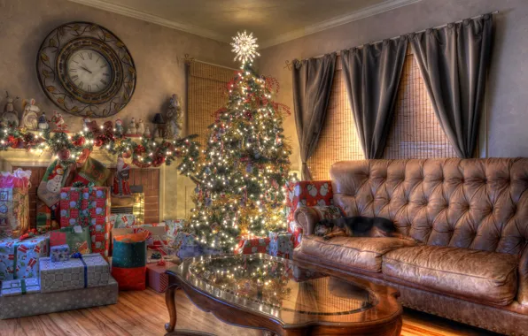 Picture sofa, holiday, watch, tree, new year, dog, Christmas, gifts, garland, living room