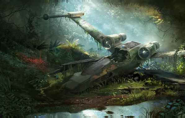 Picture forest, fiction, the crash, art, Diamond Kitty Finding Her Johnson, X-Wing Wreckage