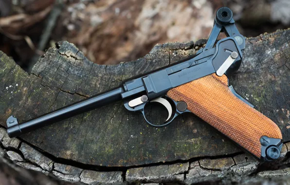 Picture Luger Pistol, 9 mm, Luger Parabellum 30