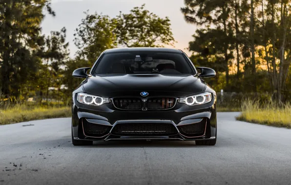 Picture BMW, Front, Black, Face, Sight, LED, F83