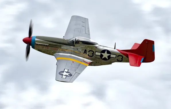 Picture fighter, P-51D, period, single, The second world war, long-range