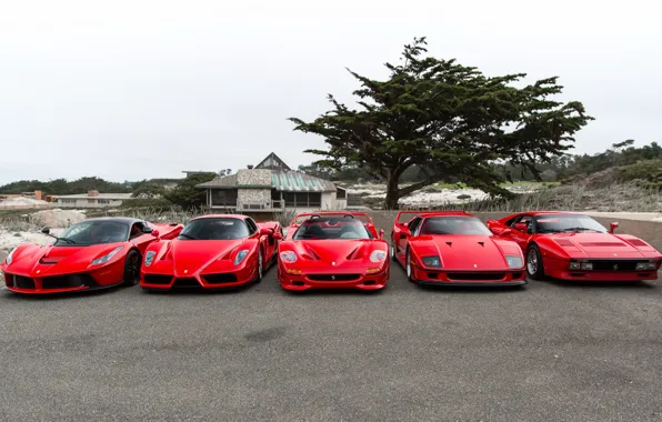 Picture Ferrari, F40, Enzo, Italia, RED, F50, LaFerrari, 288 GTO