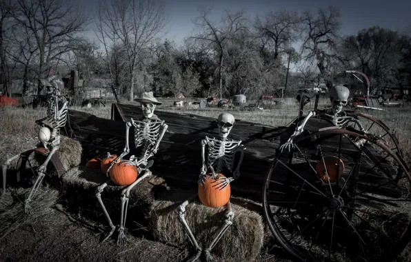 Picture pumpkin, skeletons, Happy Hallowe'en