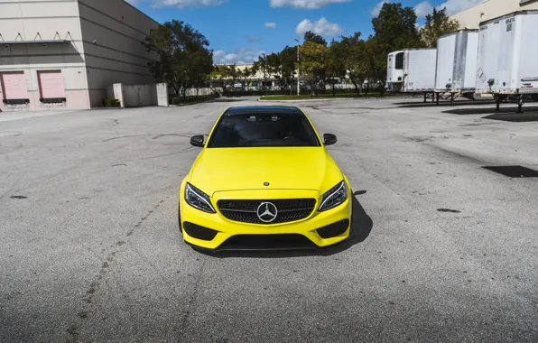 Picture Mercedes, Front, AMG, Yellow, C63, Face, Poisonous