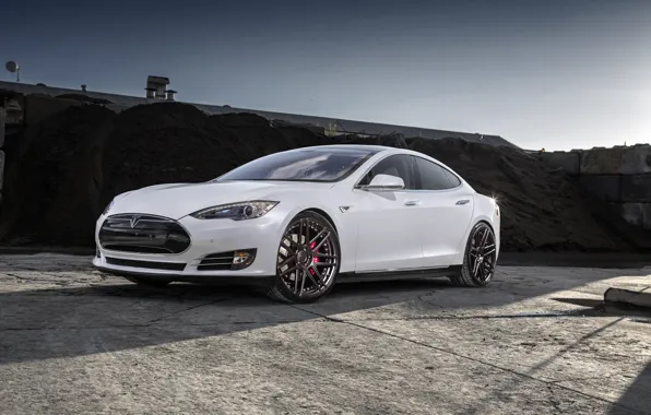 Picture white, wheels, Model, Tesla, niche