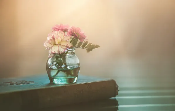 Picture flowers, background, book