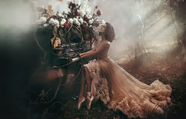 Picture forest, girl, light, trees, flowers, style, people, dress, haze, piano, peonies, ballet flats