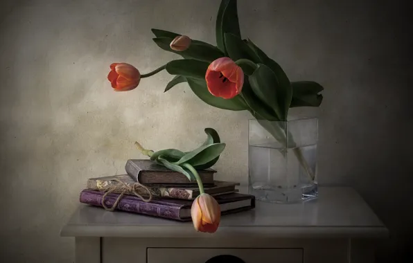Picture flowers, style, books, tulips, still life