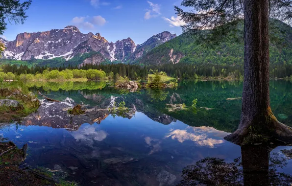 Picture forest, mountains, lake, reflection, tree, Italy, Italy, The Julian Alps, Fusine Lakes, Julian Alps, Mountain …