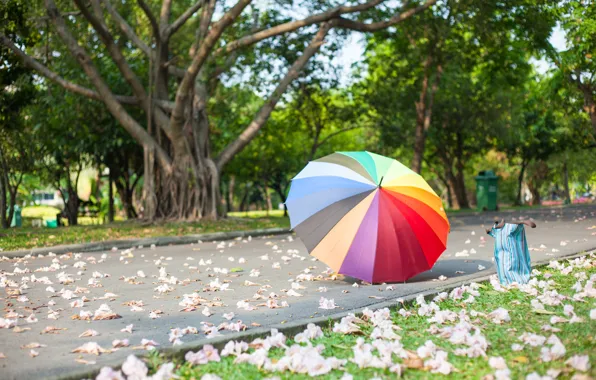 Picture summer, Park, umbrella, colorful, rainbow, summer, umbrella, park, flowers