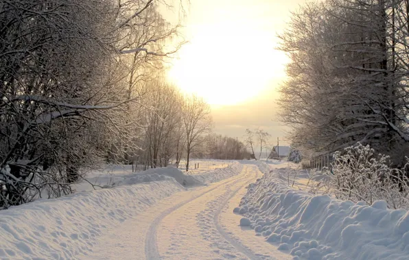 Picture winter, road, village, winter road